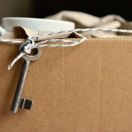 déménager seul professionnel
